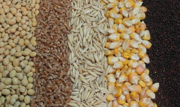 بازار آزاد نهاده وجود ندارد بازار آزاد نهاده وجود ندارد