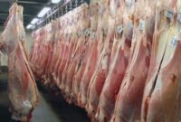 معاون وزیر جهاد: گوشت مغولستان، ترانزیتی بوده و در گمرک توقیف است معاون وزیر جهاد: گوشت مغولستان، ترانزیتی بوده و در گمرک توقیف است