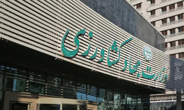 متخلفان واردات نهادههای دامی بازجویی میشوند متخلفان واردات نهادههای دامی بازجویی میشوند