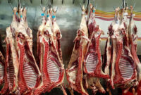 آغاز واردات و عرضه گوشت تازه با استفاده از ارز مبادله ای