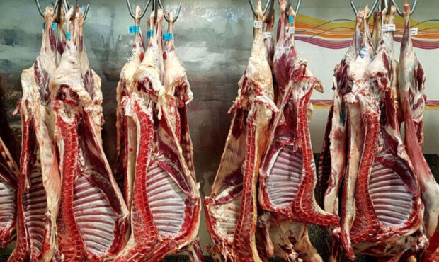 آغاز واردات و عرضه گوشت تازه با استفاده از ارز مبادله ای آغاز واردات و عرضه گوشت تازه با استفاده از ارز مبادله ای