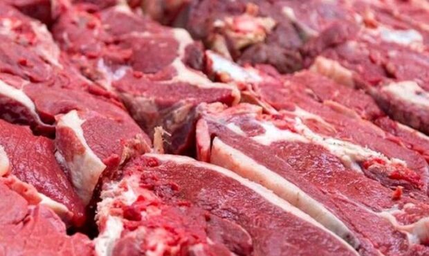 انجماد با امواج فراصوت؛ راهکار ایرانی برای حفظ کیفیت گوشت منجمد انجماد با امواج فراصوت؛ راهکار ایرانی برای حفظ کیفیت گوشت منجمد