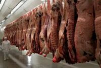 مدیر اتحادیه دامداران: ۱۰۰ تن گوشت بی کیفیت وارد ایران شد مدیر اتحادیه دامداران: ۱۰۰ تن گوشت بی کیفیت وارد ایران شد