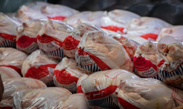 کاهش 3 درصدی عرضه گوشت مرغ در مهر 1404 کاهش 3 درصدی عرضه گوشت مرغ در مهر 1404