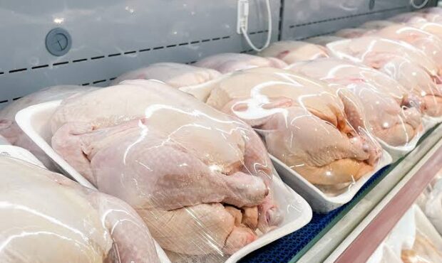 واردات گوشت مرغ از اوراسیا مجاز شد واردات گوشت مرغ از اوراسیا مجاز شد