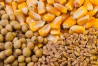 مرغداران: «بازارگاه» نهاده ندارد