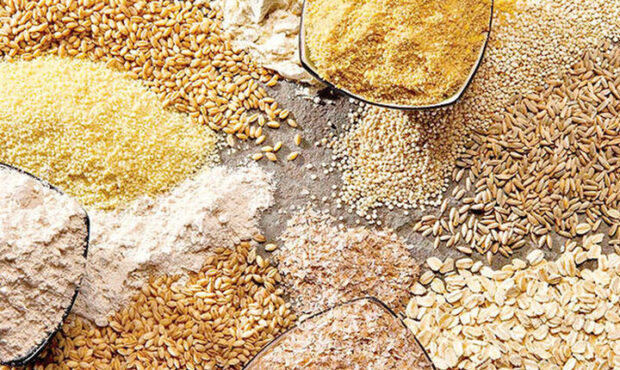 تامین ارز مورد نیاز نهاده های دامی تا پایان سال تامین ارز مورد نیاز نهاده های دامی تا پایان سال